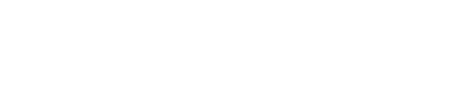 Logo Privesy.sk